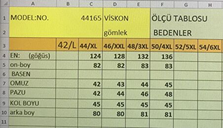 Büyük Beden Viskon Kadın Gömlek