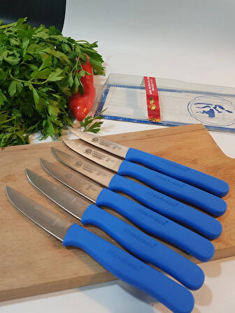 Sürdövbisa 61010 6'lı Meyve Seti (Sivri Uç ) Mavi