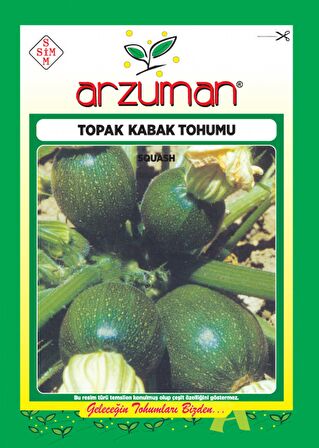 TOPAK KABAK TOHUMU 10 GR