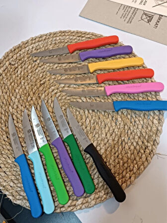 Sürdövbisa 61010 6'lı Meyve Seti (Sivri Uç ) Karma