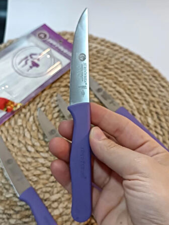 Sürdövbisa 61010 6'lı Meyve Seti (Sivri Uç ) Mor