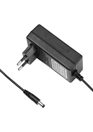 12V 2A 5.5mm 2.1mm Priz Tipi Adaptör 24 Watt Şarj Cihazı Aleti Güç Kaynağı LED Işık Modem Cctv Ip Kamera Kameralar