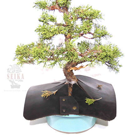 Bonsai Önlüğü (25 cm)