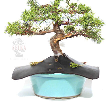 Bonsai Önlüğü (25 cm)