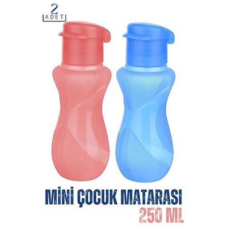 TransForMacion 250 Ml Çocuk Matarası 2 ADET Scherzinger Design 718862