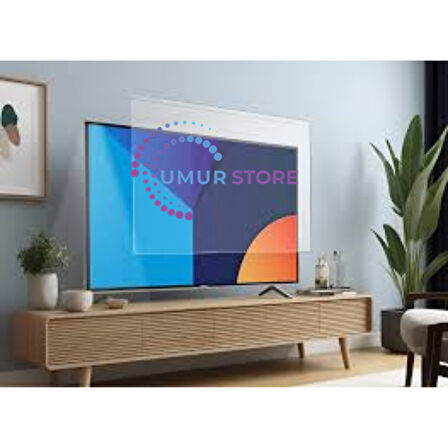 Sunny Uyumlu Sn65fmn252 65'' İnç 165 Ekran Sunny Uyumlu TV Ekran Koruyucu
