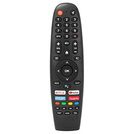 Digipoll Google Tv Kumandası-Mikrofonlu