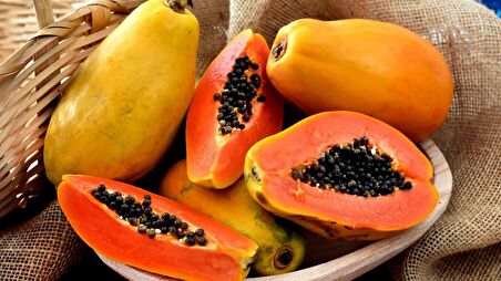 Papaya Meyvesi Fidan