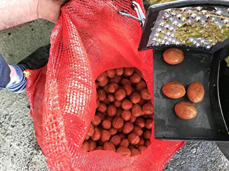 Kadıoğlu Pratiko CKS80 Rendeli Ceviz Soyma Makinesi 90 Litre
