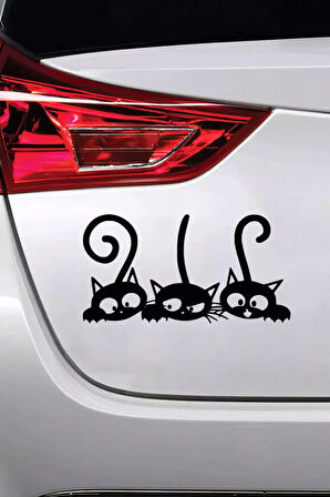 Sevimli Kediler Sticker Oto Motor Laptop Duvar Folyo Sticker 20 X 10 Cm