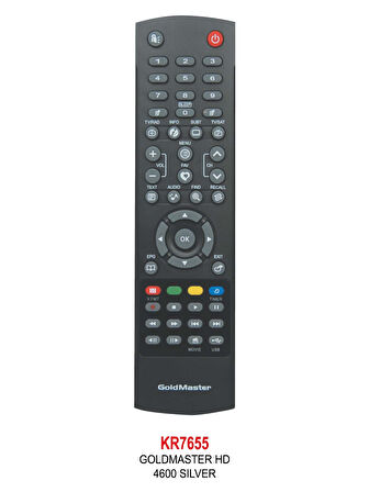 GOLDMASTER HD 4600 SILVER KUMANDA