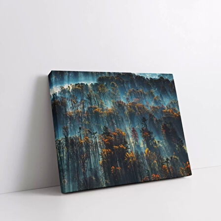 Sonbahardaki Orman Kanvas Tablo