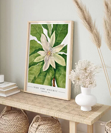 Çerçevesiz Poster Mary Vaux Walcott Umbrella Tree