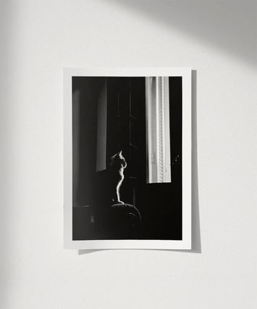 Çerçevesiz Poster Pencere Önünde Düşler