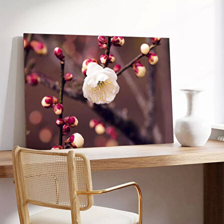 Kiraç Çiçeği Kanvas Tablo