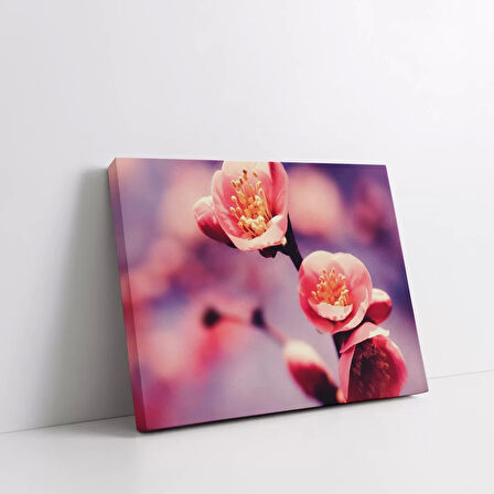 Pembe Sakura Kanvas Tablo