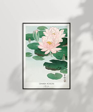 Çerçevesiz Poster Ohara Koson Nilüfer