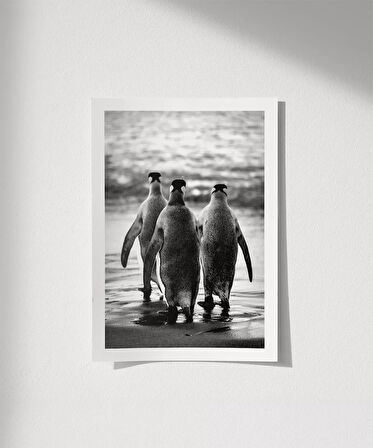 Çerçevesiz Poster Penguen Kardeşliğ,