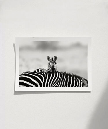 Çerçevesiz Poster Siyah Beyaz Denge