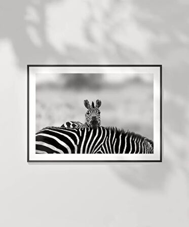 Çerçevesiz Poster Siyah Beyaz Denge