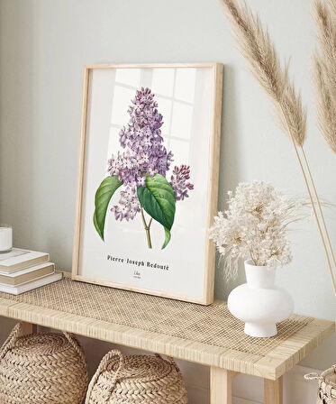 Çerçevesiz Poster Pierre Joseph Redoure Lilac