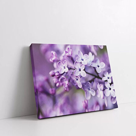 Daldaki Mor Çiçekler Kanvas Tablo