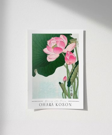 Çerçevesiz Poster Ohara Koson Çiçek Açan Lotus