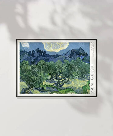 Çerçevesiz Poster Vincent Van Gogh Zeytin Ağaçları (2)