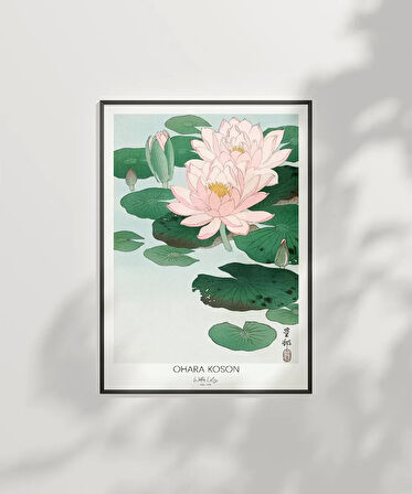 Çerçevesiz Poster Ohara Koson Nilüfer