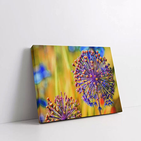 Karahindiba Kanvas Tablo