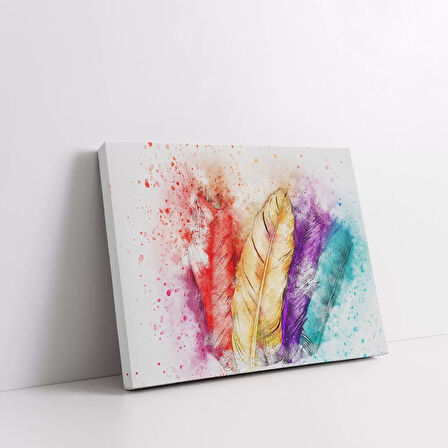 Renkli Tüyler Kanvas Tablo