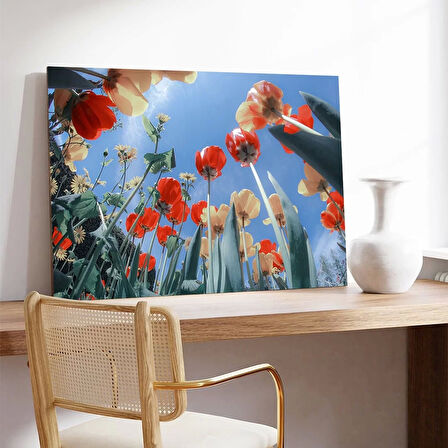 Gökyüzüne Uzanan Gelincikler Kanvas Tablo