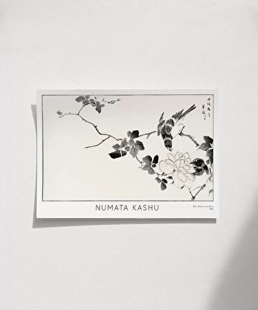 Çerçevesiz Poster Numata Kashu Kızılgerdan ve Gül