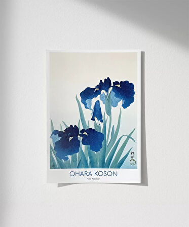 Çerçevesiz Poster Ohara Koson Süsen Çiçekleri 2