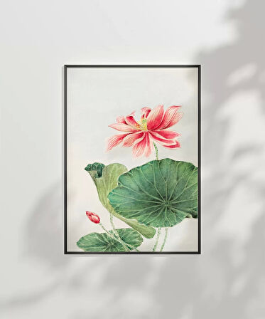 Çerçevesiz Poster Su Üstü Güzellik