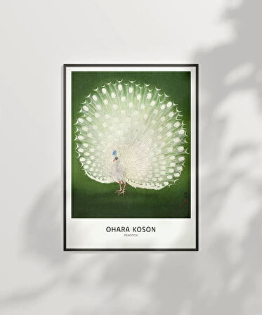 Çerçevesiz Poster Ohara Koson Tavuskuşu