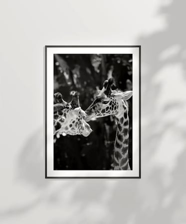 Çerçevesiz Poster Uzun Boylu Aşk