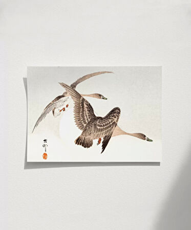 Çerçevesiz Poster Sessiz Kanatlar