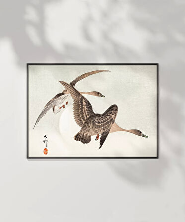 Çerçevesiz Poster Sessiz Kanatlar