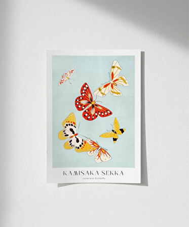 Çerçevesiz Poster Kamisaka Sekka Japon Kelebekler