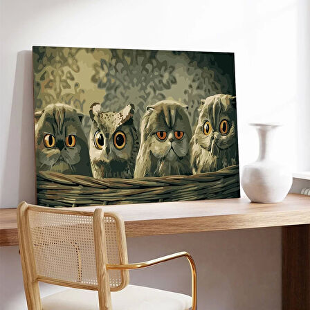 Üç Baykuş Portresi Kanvas Tablo