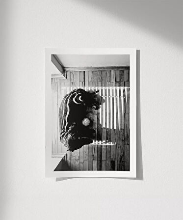 Çerçevesiz Poster Gölge Oyunları