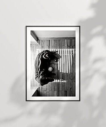 Çerçevesiz Poster Gölge Oyunları