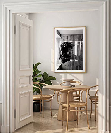 Çerçevesiz Poster Gölge Oyunları