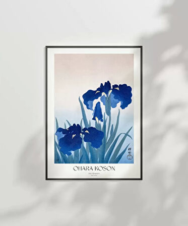 Çerçevesiz Poster Ohara Koson İris Çiçekleri