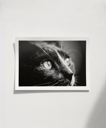 Çerçevesiz Poster Karanlığın Gözleri