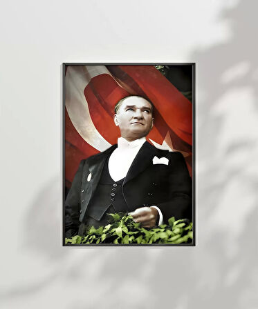 Çerçevesiz Poster Bağımsızlık Ruhu