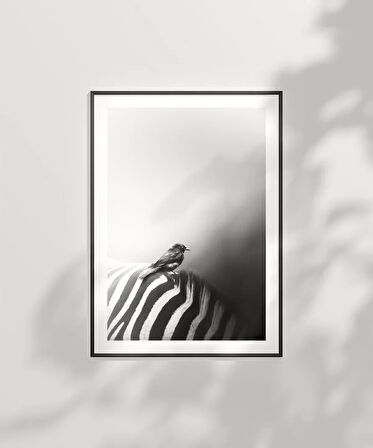 Çerçevesiz Poster Çizgilerin Üzerinde