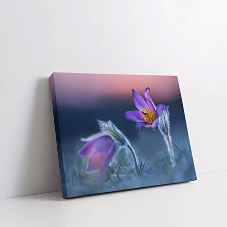 İlkbahar Kır Çiçeği Kanvas Tablo