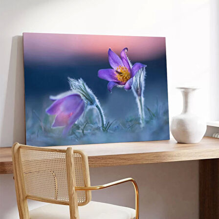 İlkbahar Kır Çiçeği Kanvas Tablo